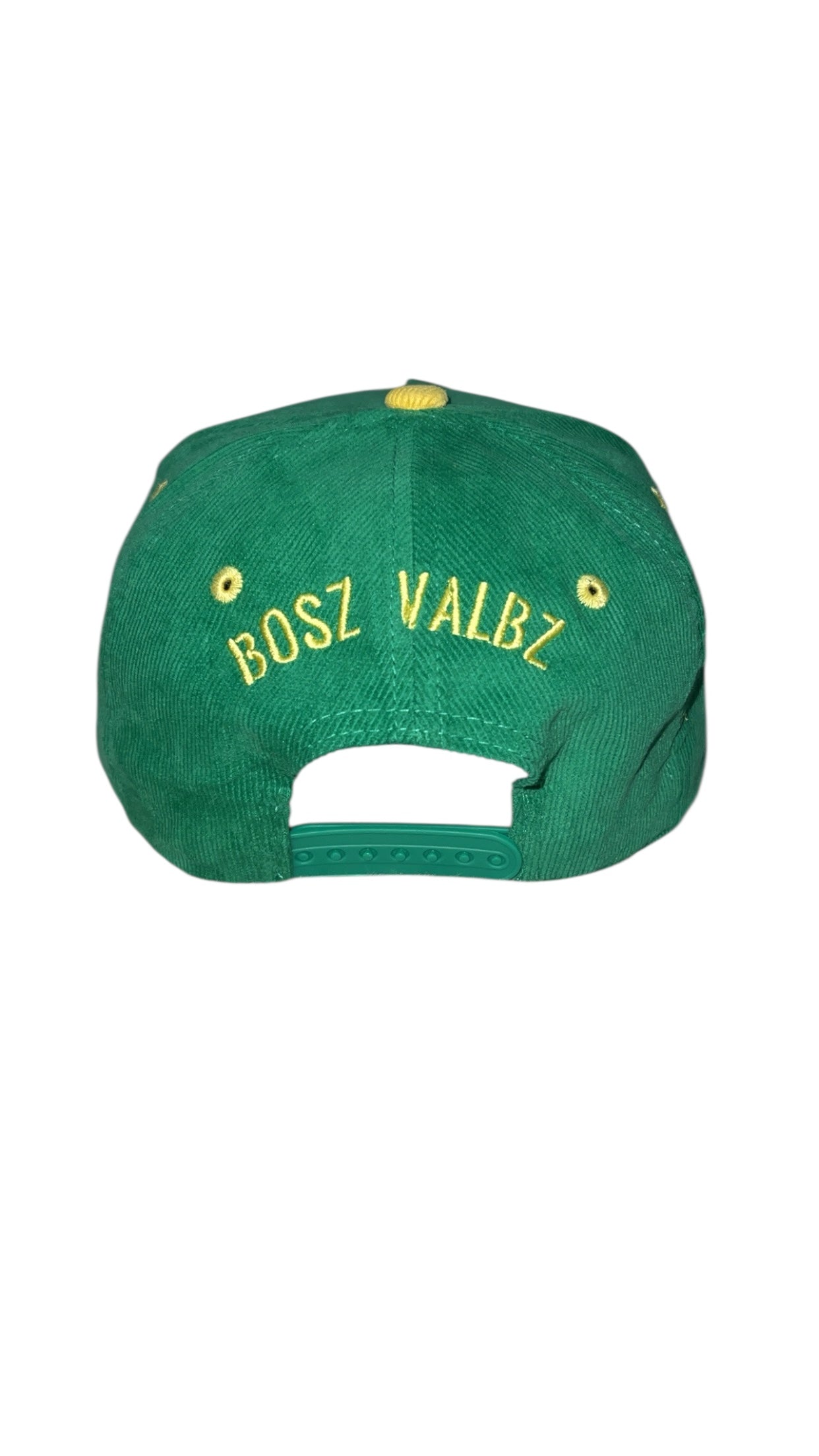 BoszVaibz corduroy baseball hat