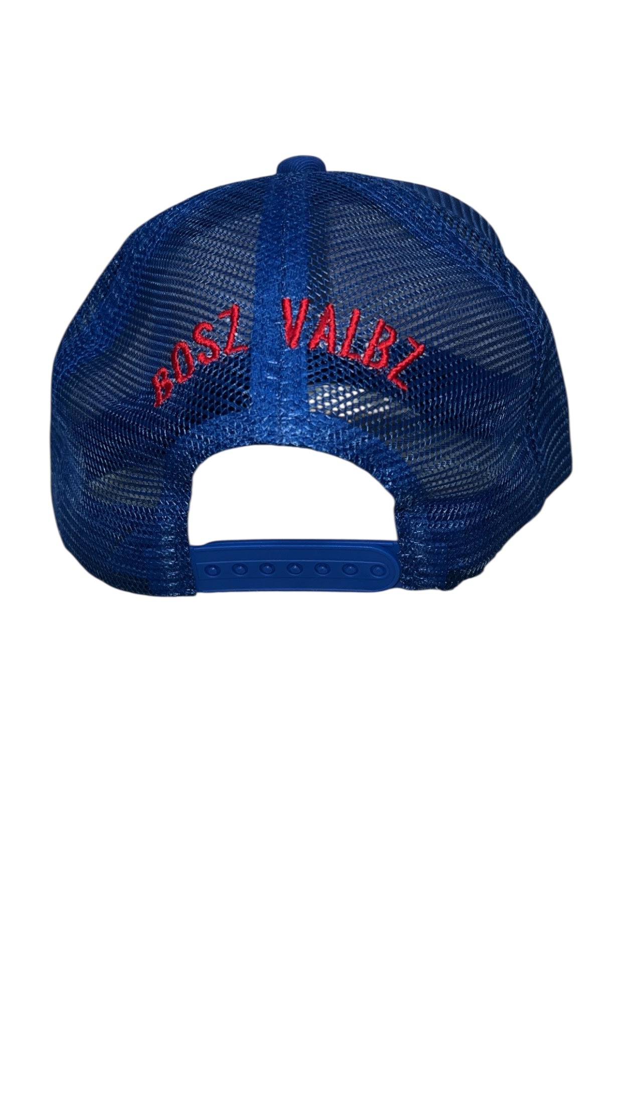 BoszVaibz trucker hat